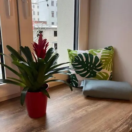Apartment Rewolucji *